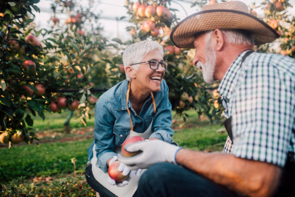 Mature couple in apple orchard